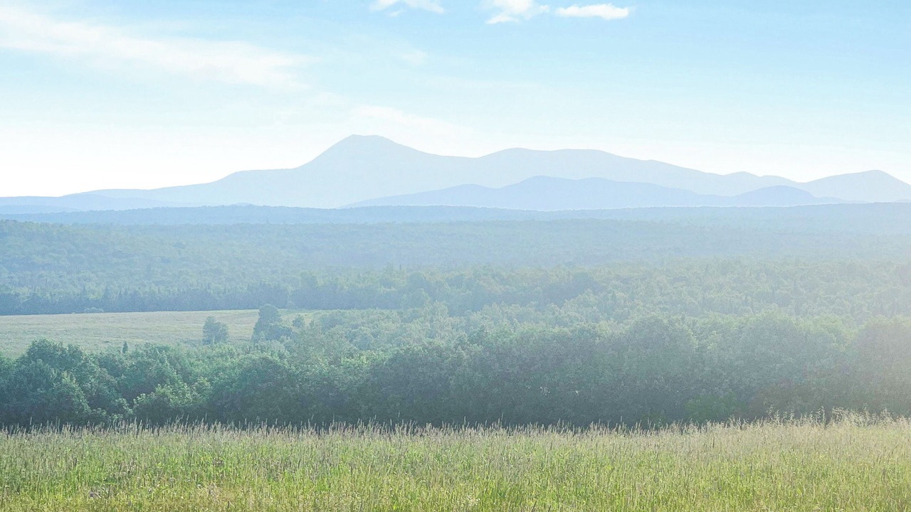 Photo of Others in Sherman Station