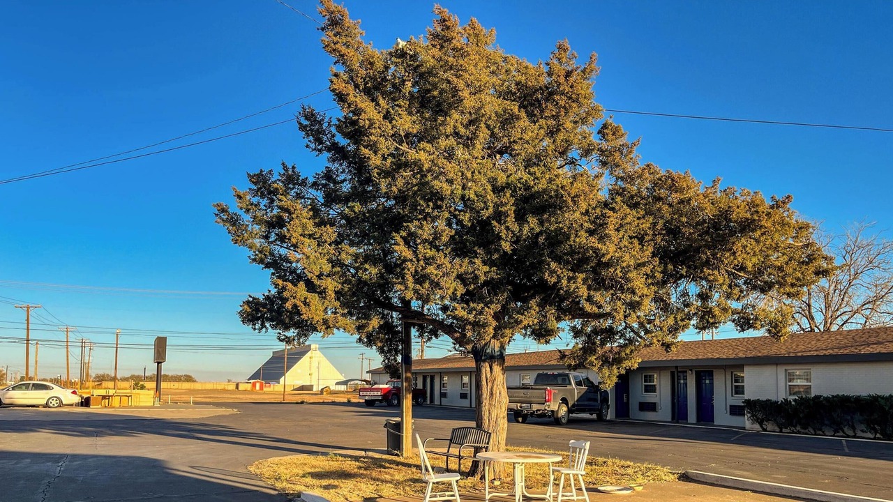 Photo of Outdoor in Lamesa