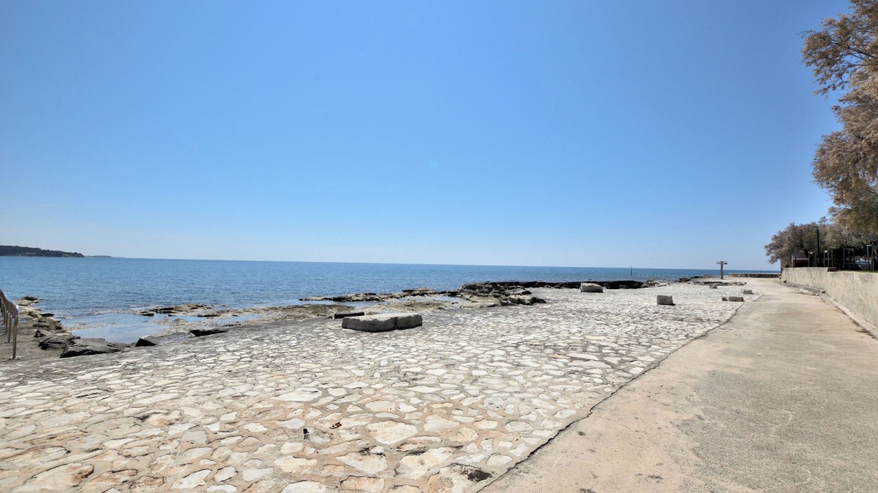 Photo of Others in Novigrad