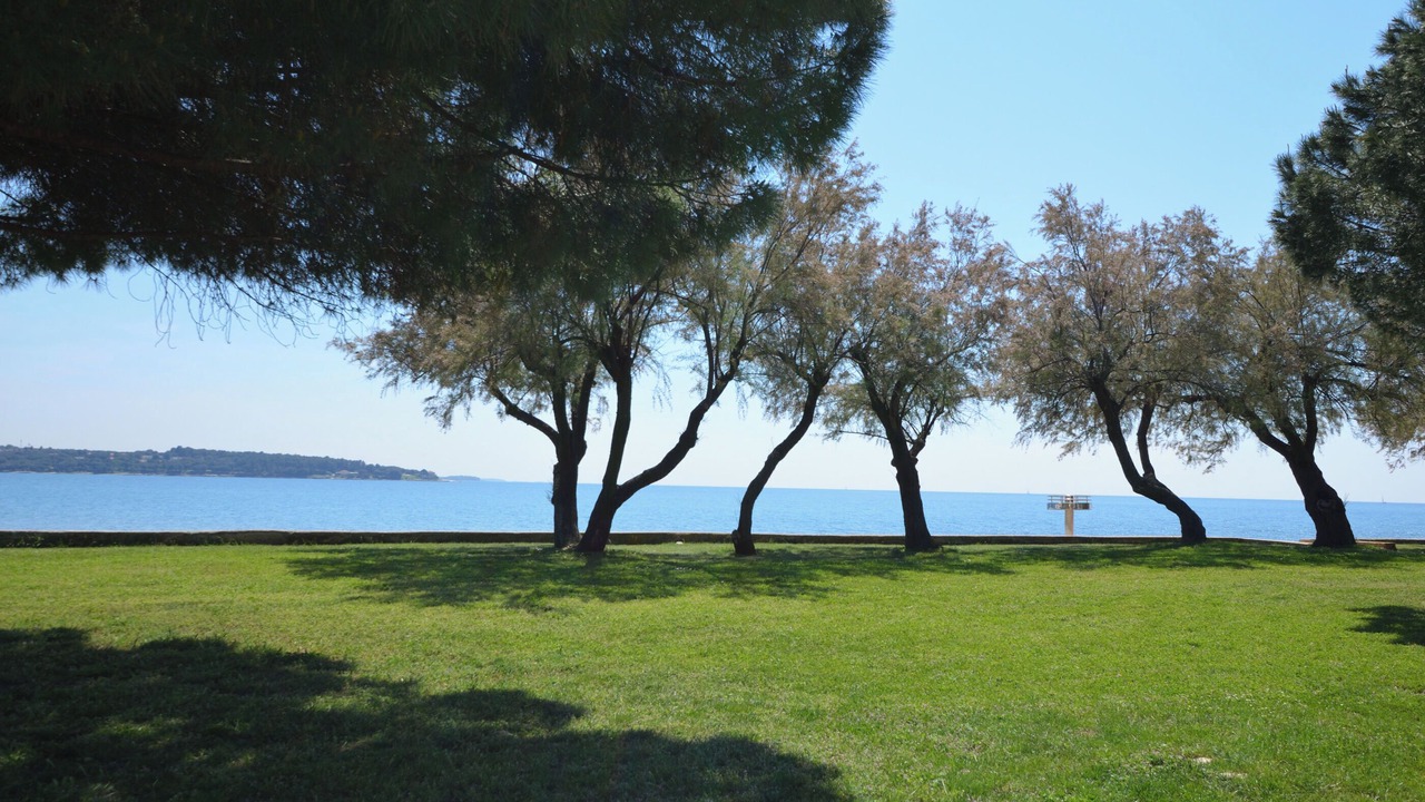 Photo of Others in Novigrad