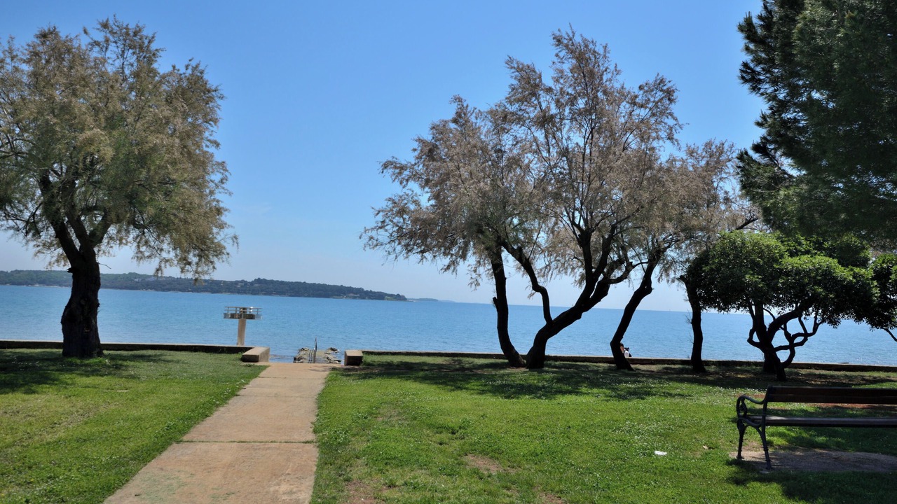 Photo of Others in Novigrad