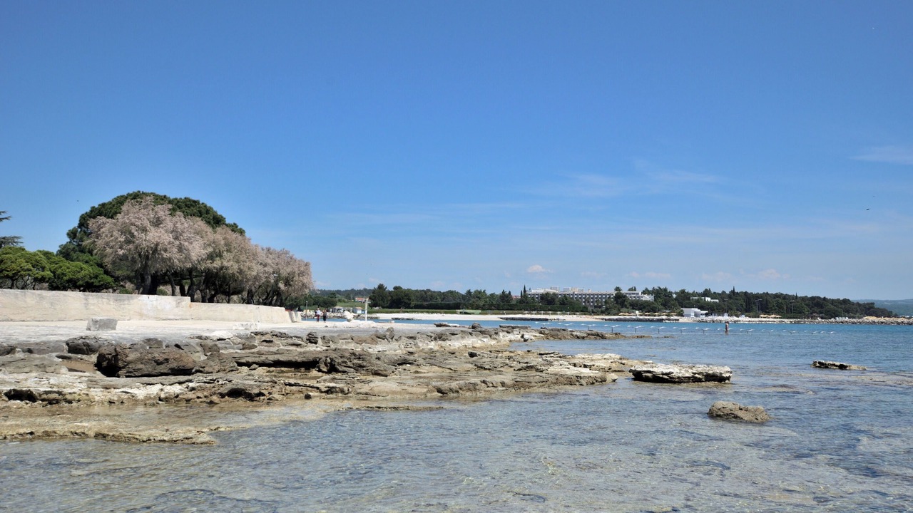 Photo of Others in Novigrad