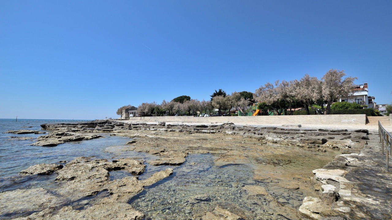 Photo of Others in Novigrad