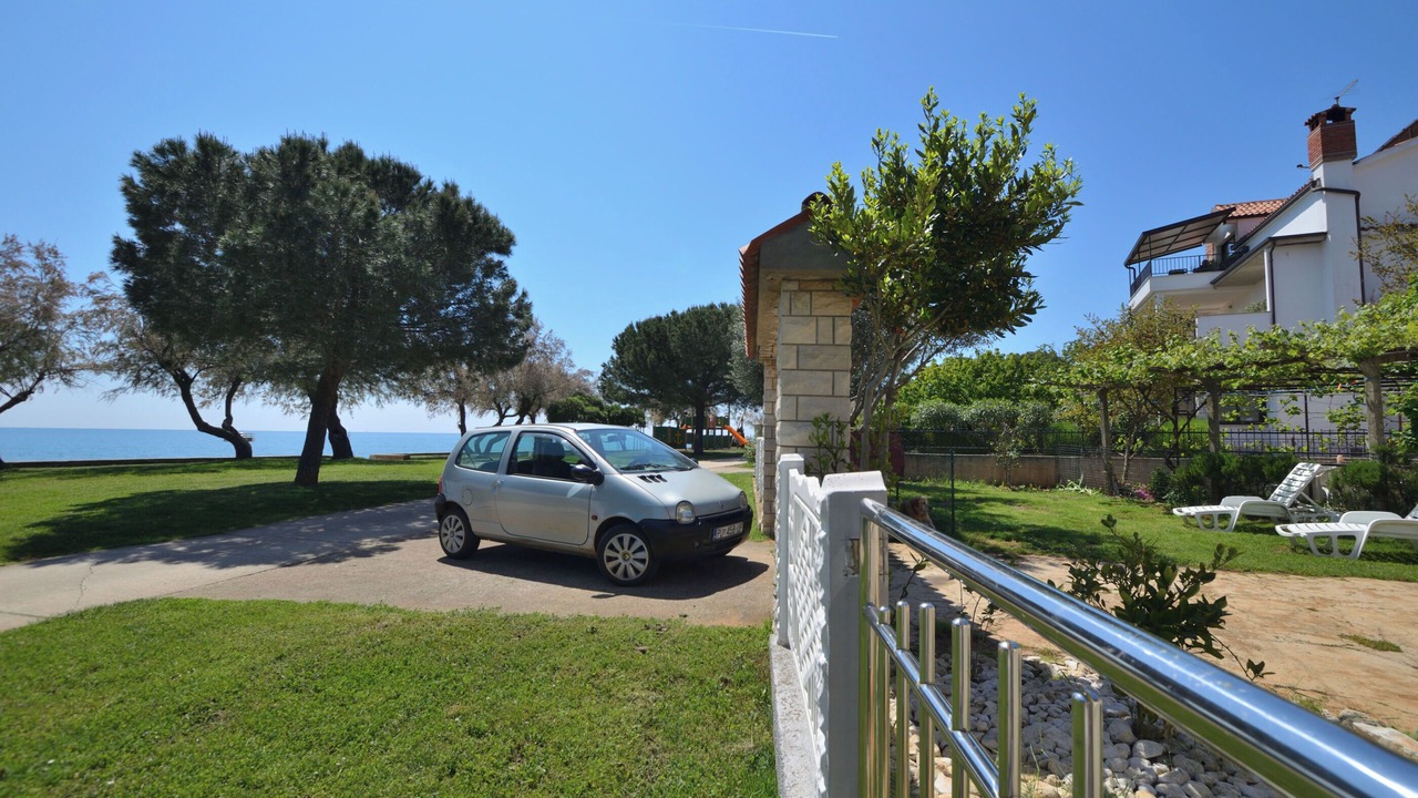 Photo of Others in Novigrad