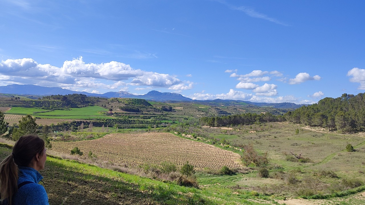 Photo of Outdoor in Viana