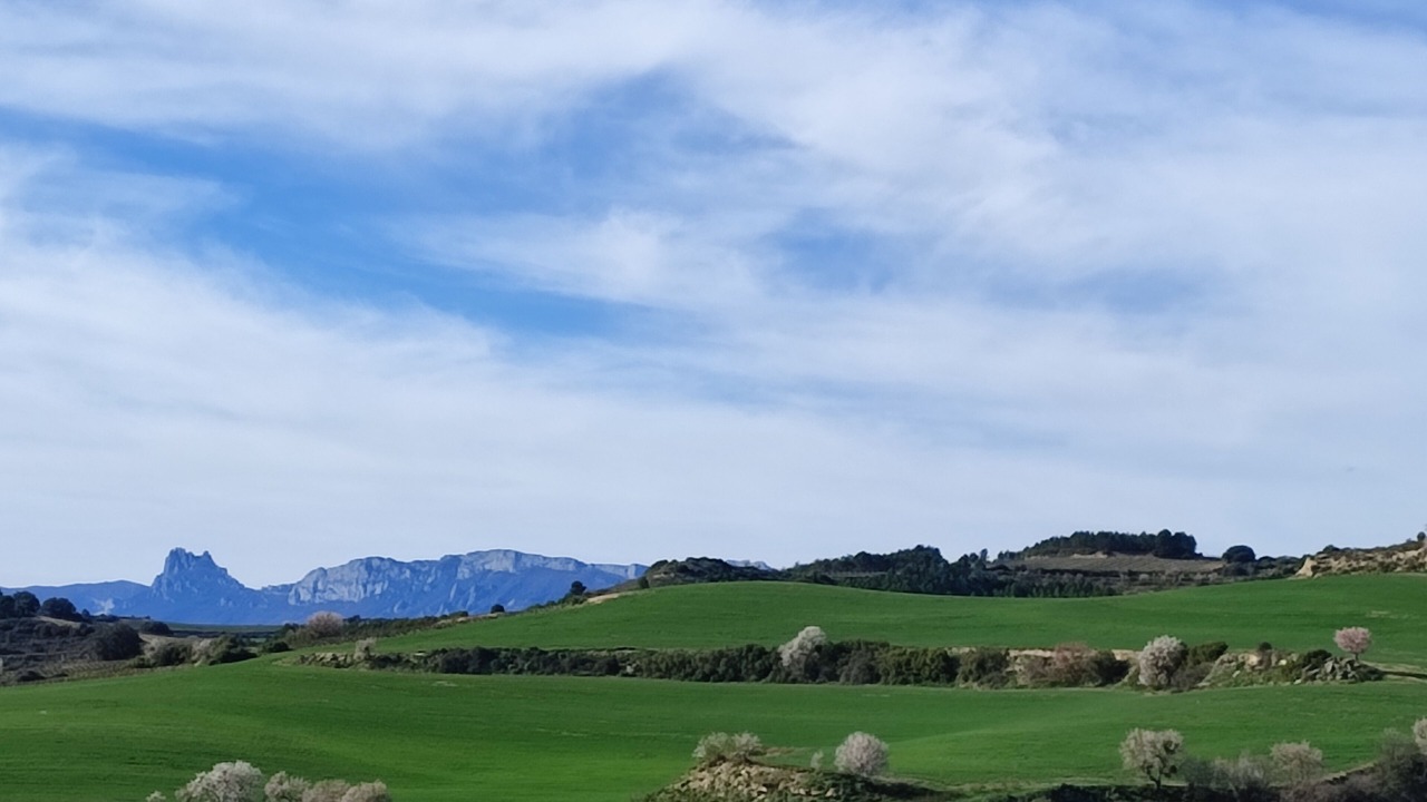 Photo of Outdoor in Viana