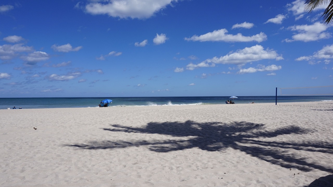 Photo of Others in East Fort Lauderdale
