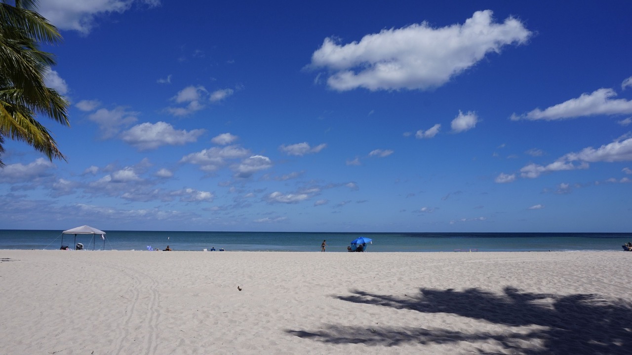 Photo of Others in East Fort Lauderdale