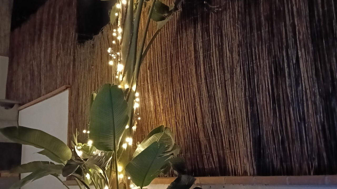 Photo of Patio Balcony in Olivella