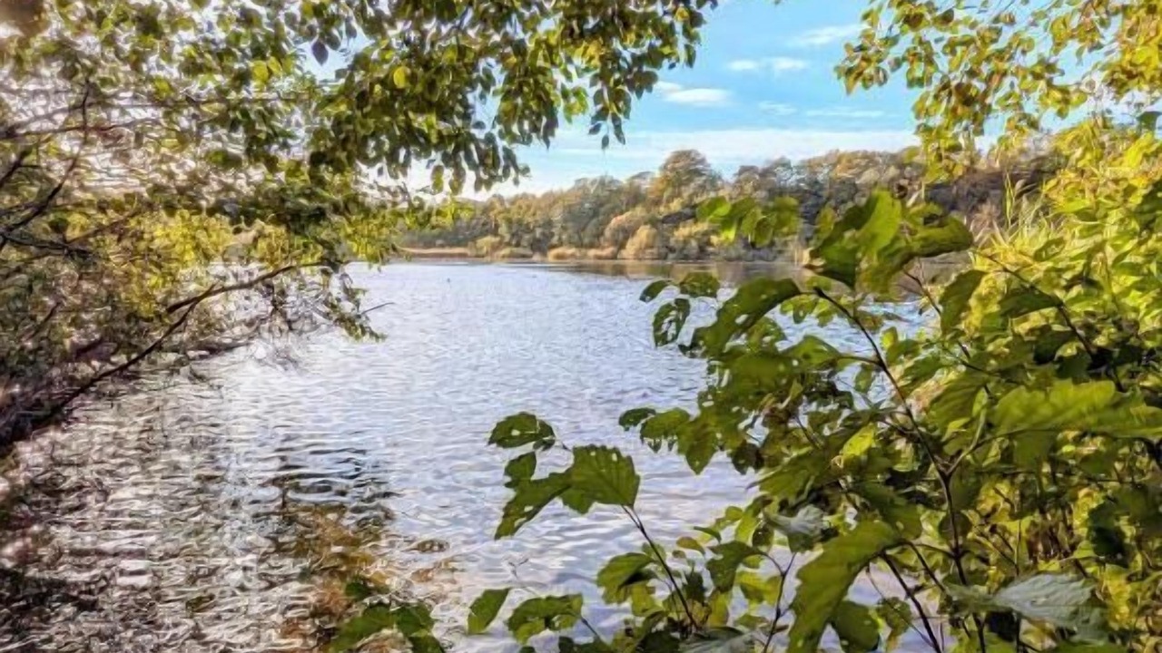 Photo of Outdoor in Hong