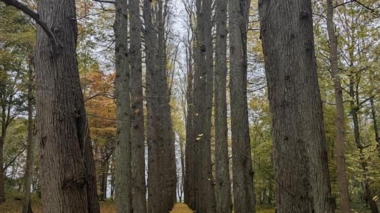 Photo of Outdoor in Hong