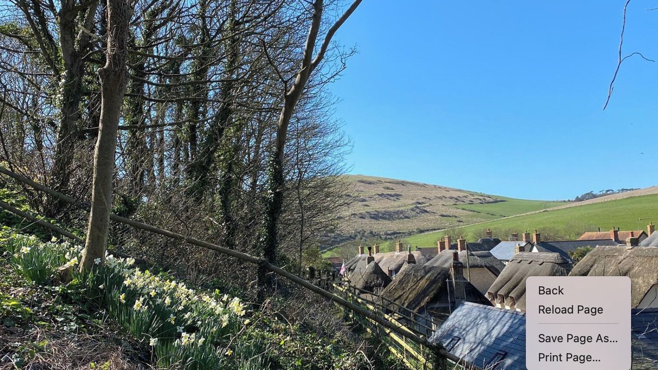 Photo of Outdoor in West Lulworth