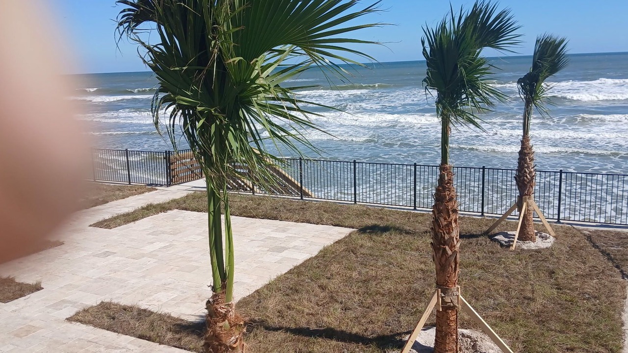 Photo of Outdoor in Rio Mar Beaches