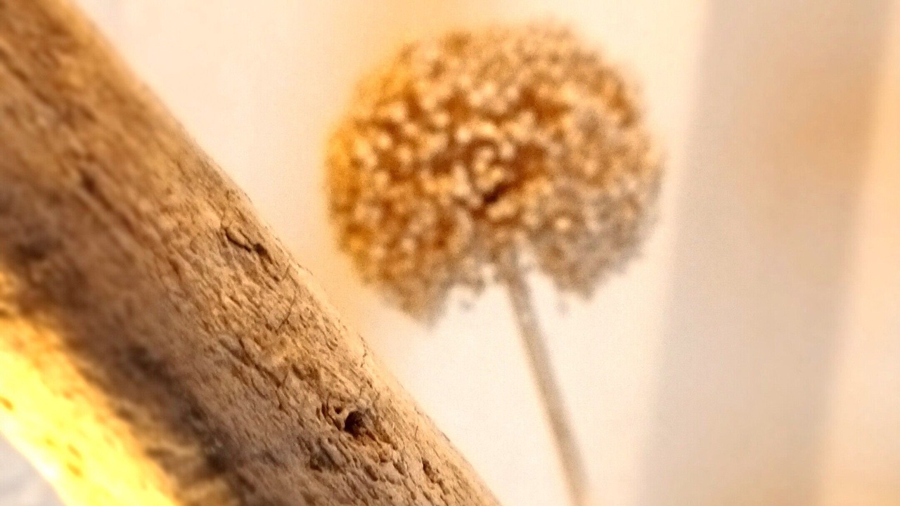 Photo of Others in Chateaulin