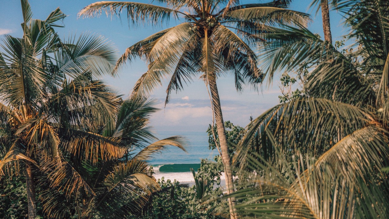 Photo of Outdoor in Pekutatan