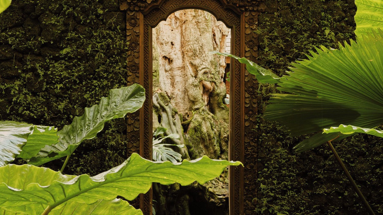 Photo of Outdoor in Pekutatan