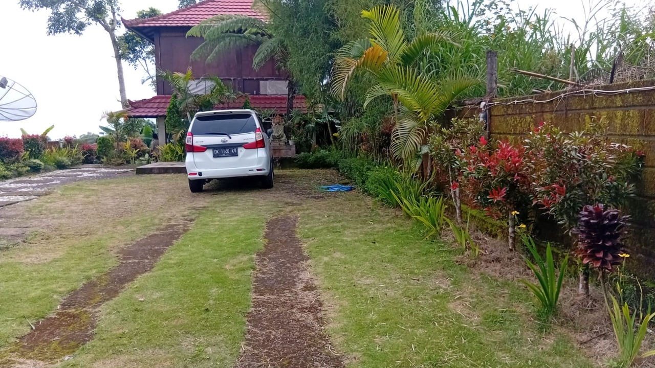 Photo of Outdoor in Pemogan