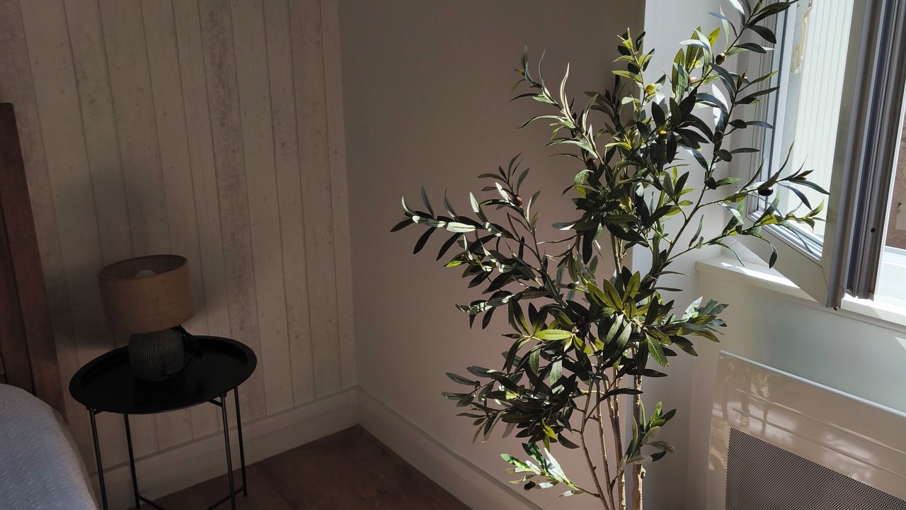 Photo of Bedroom in Cravant-les-Coteaux