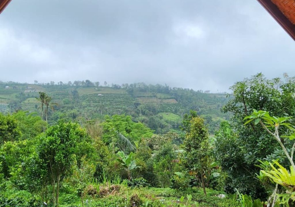 Photo of Outdoor in Pelaga