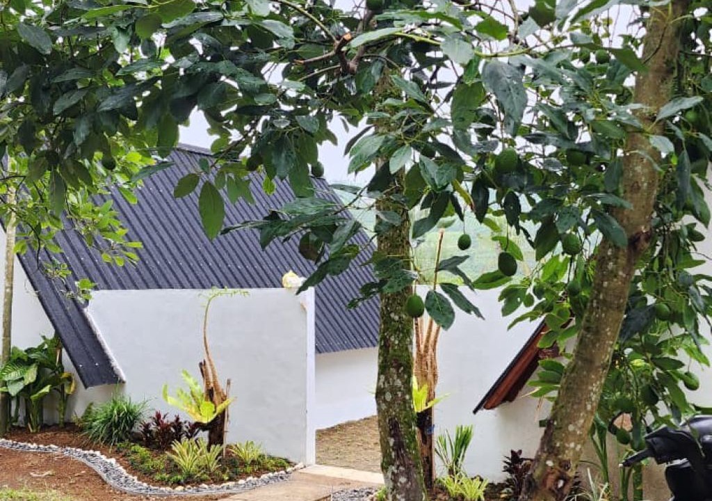 Photo of Outdoor in Pelaga