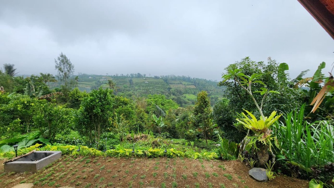 Photo of Outdoor in Pelaga