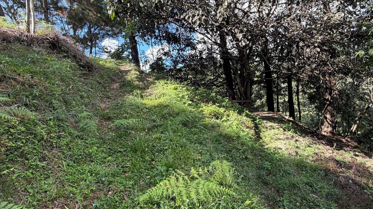 Photo of Others in Manabao