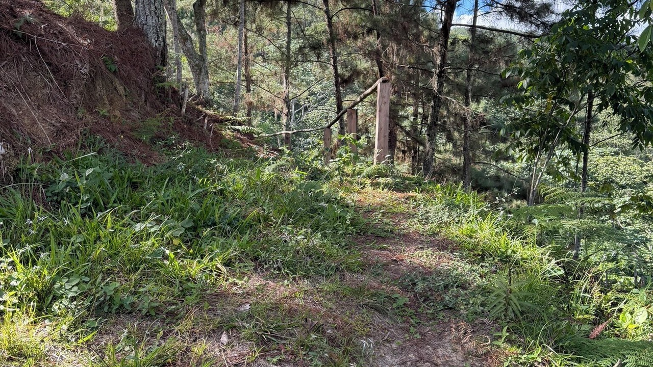 Photo of Others in Manabao