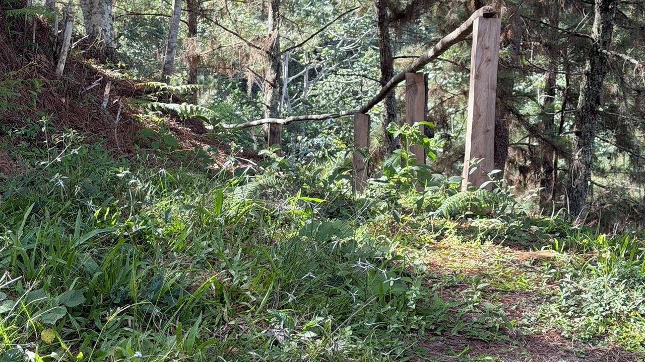 Photo of Others in Manabao