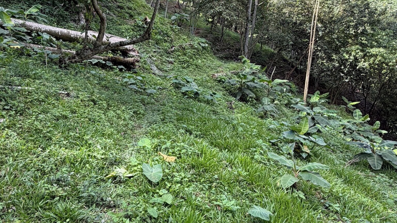 Photo of Outdoor in Manabao