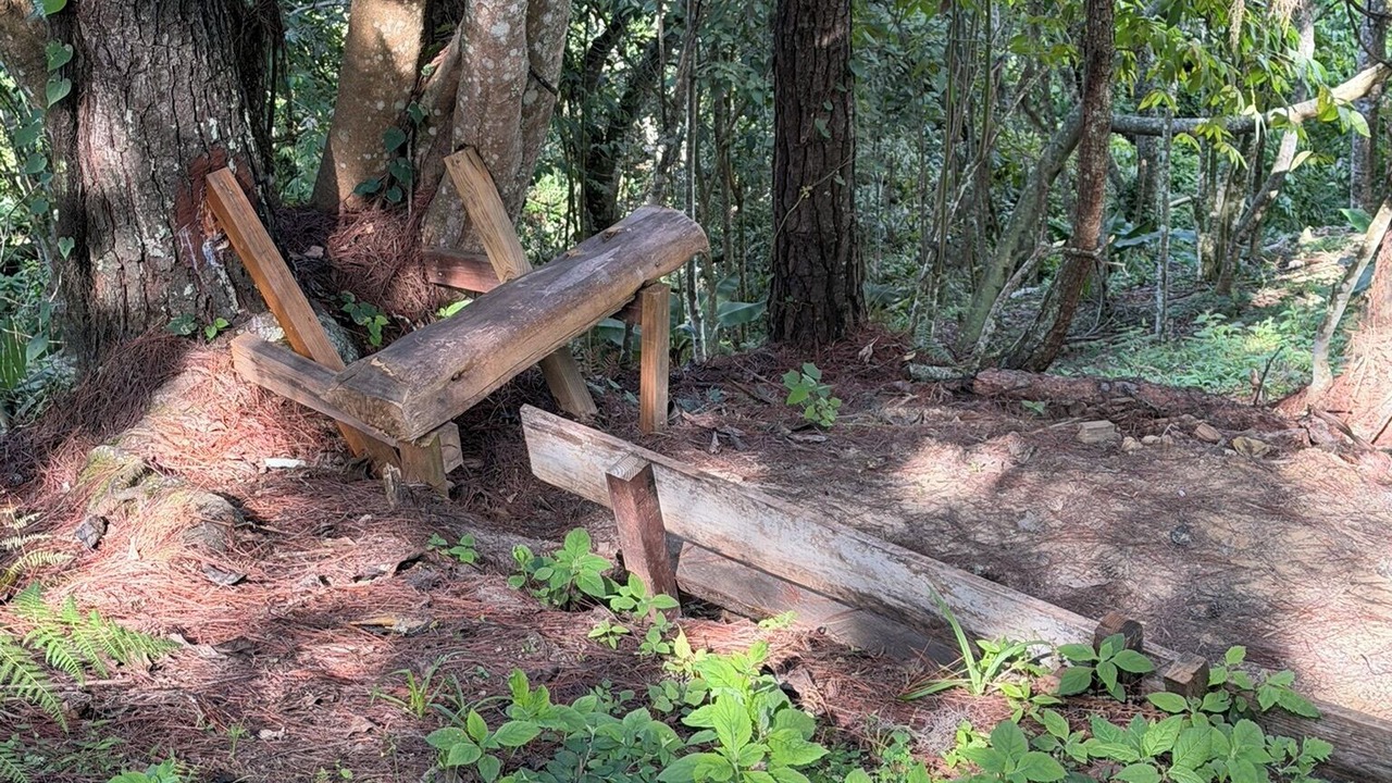 Photo of Others in Manabao