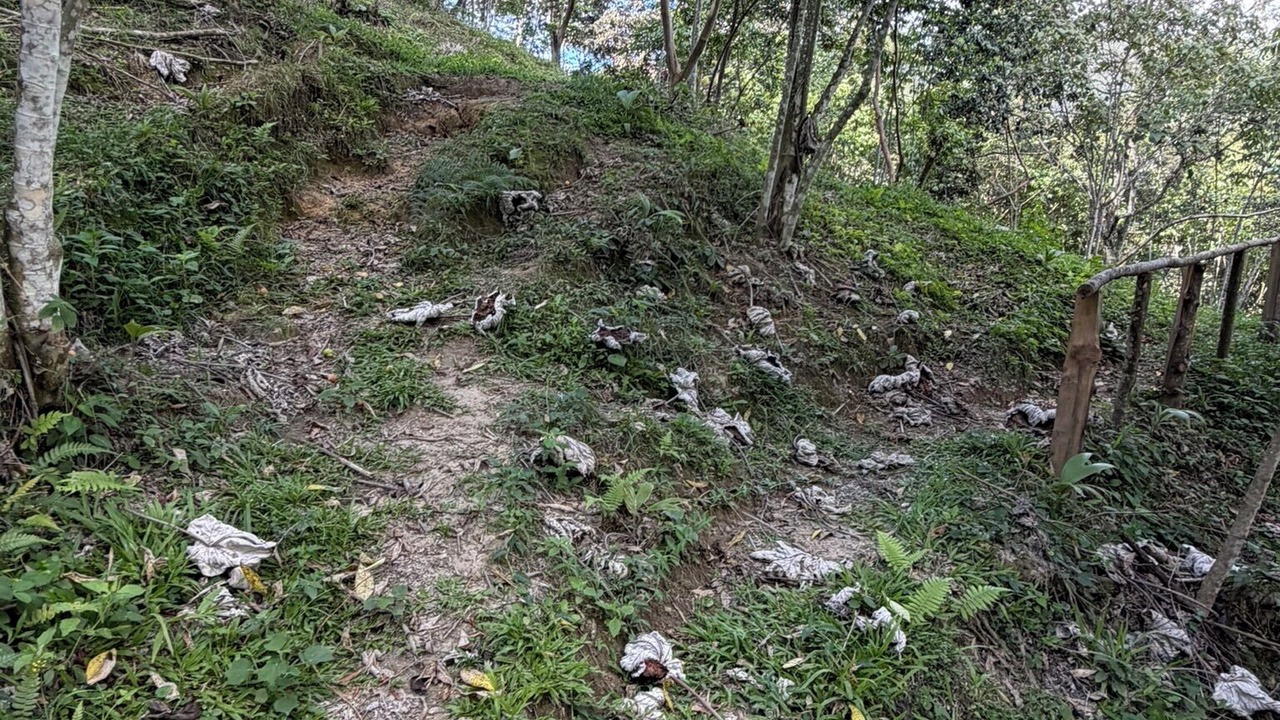 Photo of Outdoor in Manabao