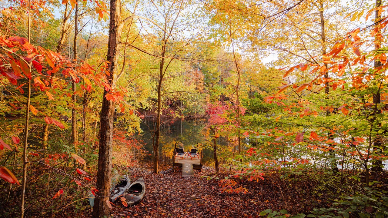 Photo of Outdoor in Rockbridge