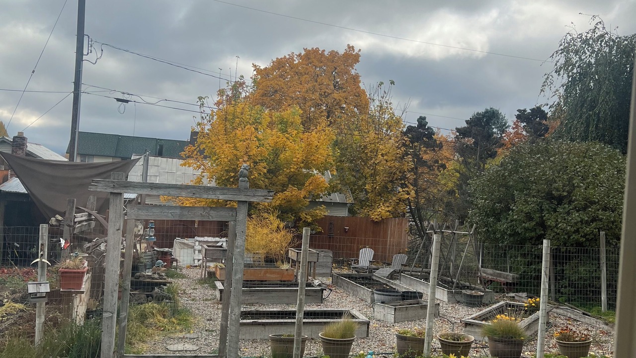 Photo of Outdoor in Chewelah