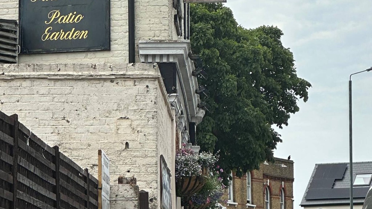 Photo of Others in Belvedere