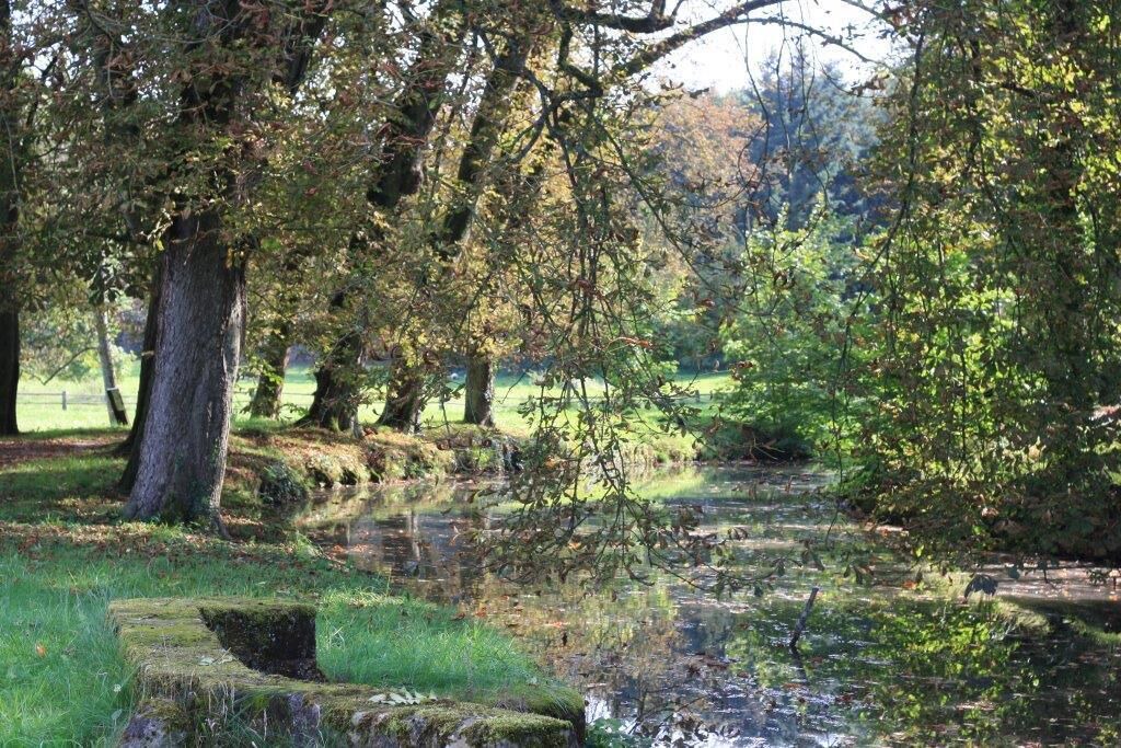 Photo of Outdoor in Basse-Rentgen