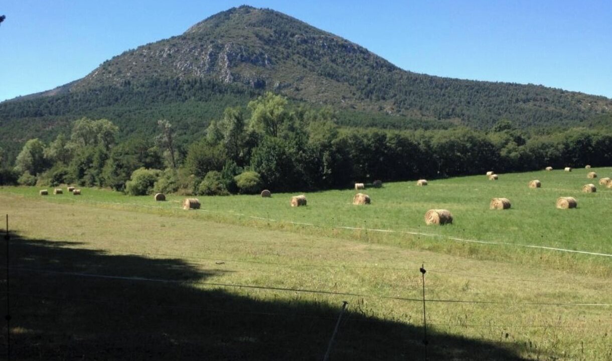 Photo of Others in La Bastide