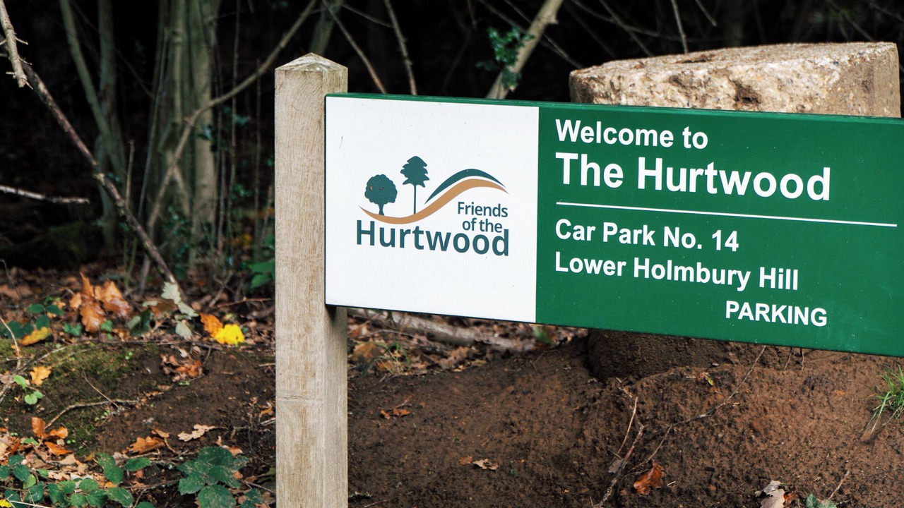 Photo of Outdoor in Holmbury St Mary