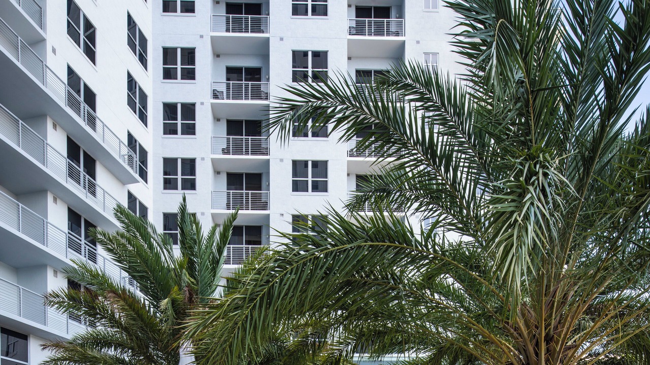 Photo of Outdoor in Downtown Hollywood