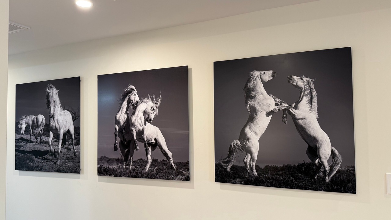 Photo of Others in Hoboken