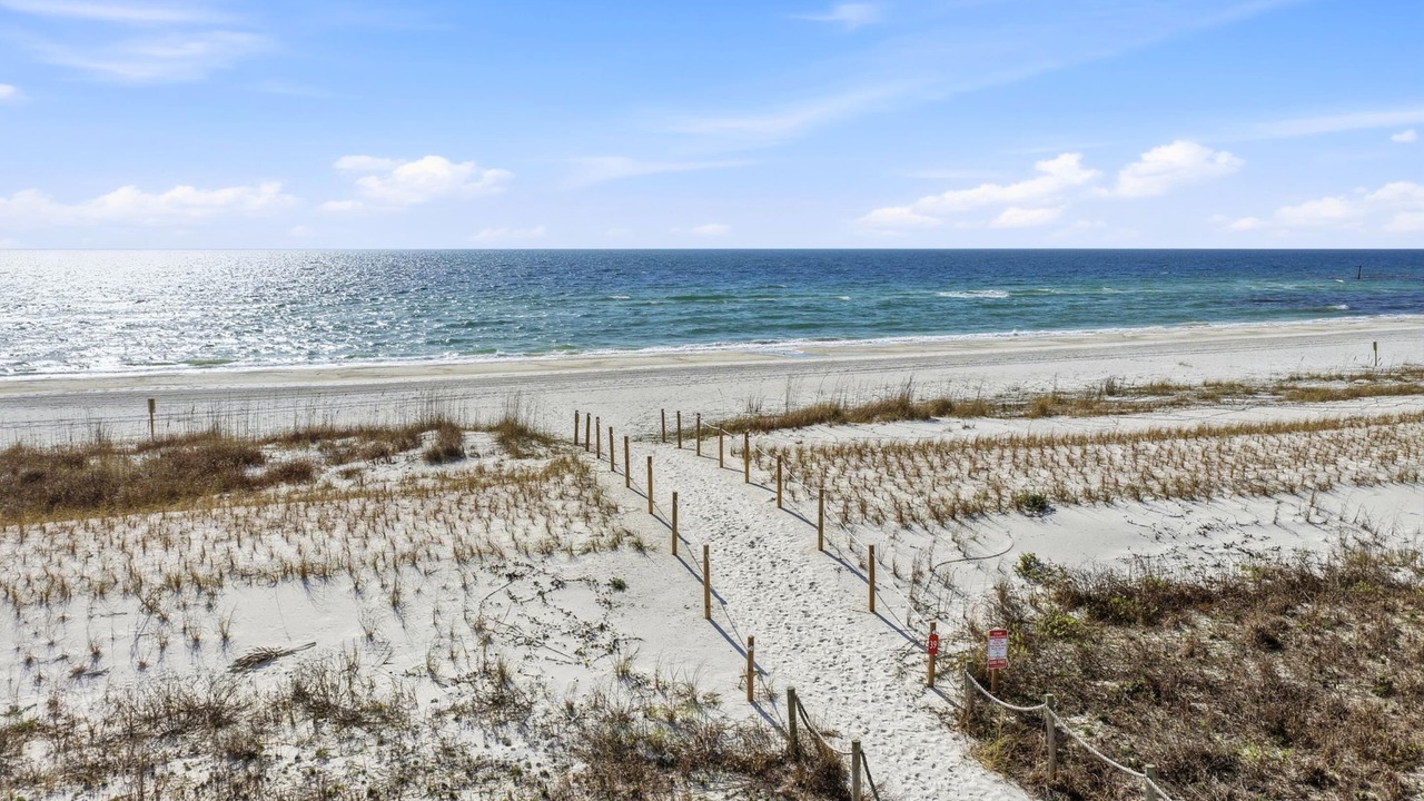 Photo of Others in Mexico Beach