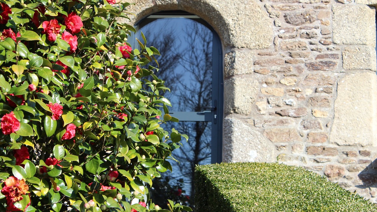 Photo of Outdoor in Plouegat-Moysan