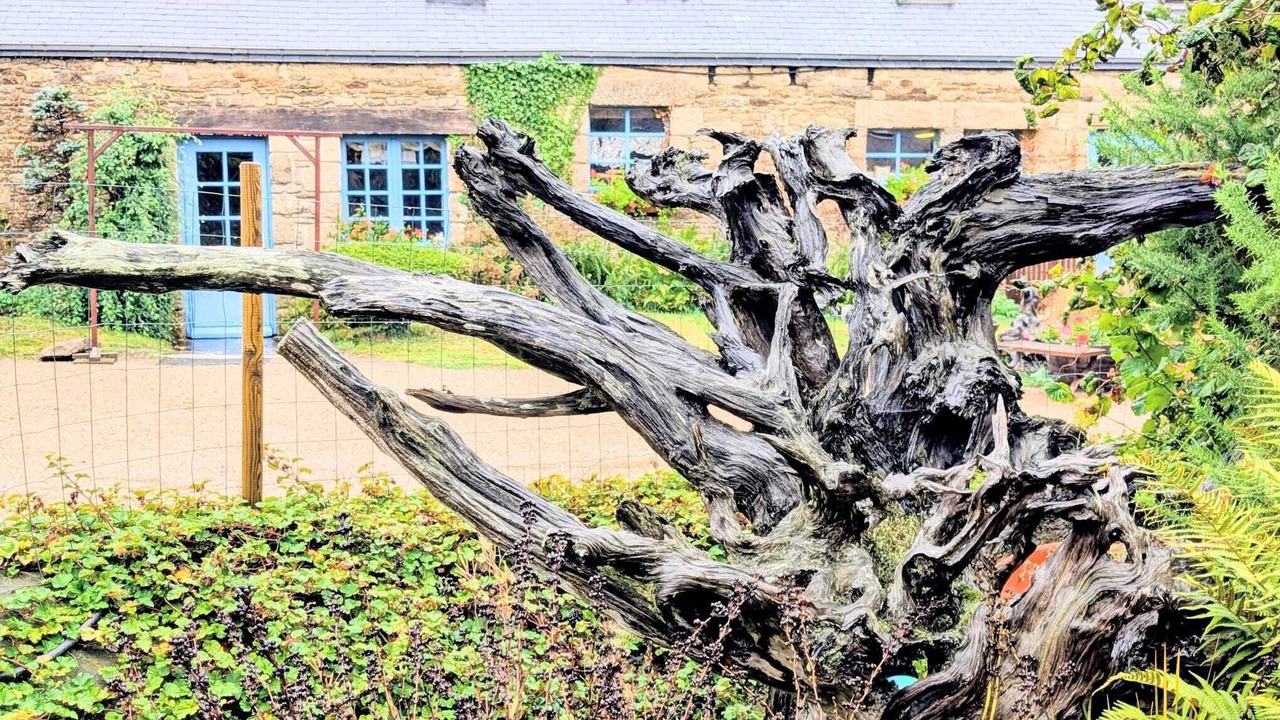 Photo of Outdoor in Plouegat-Moysan