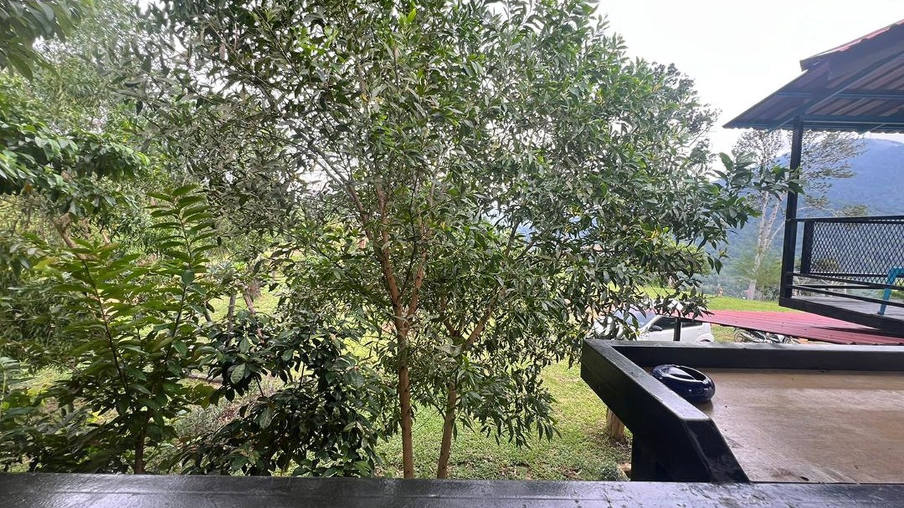 Photo of Bedroom in Langkawi