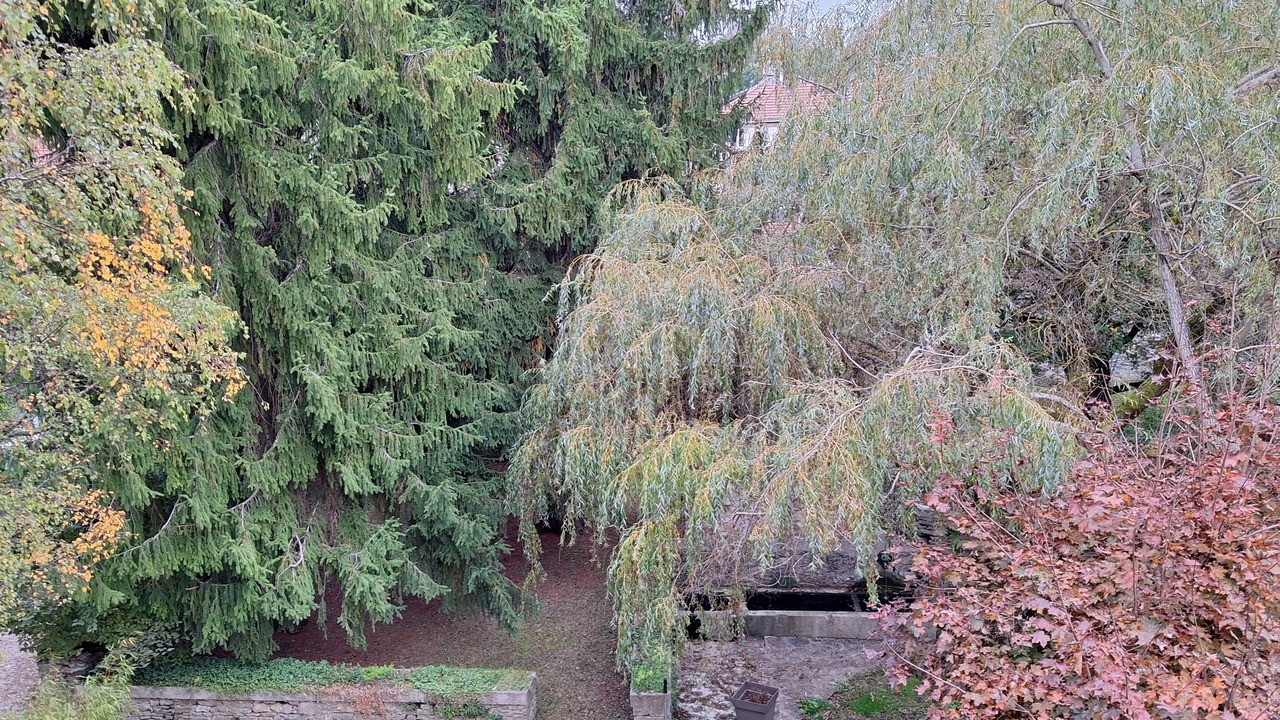 Photo of Outdoor in La Chapelle-en-Vercors
