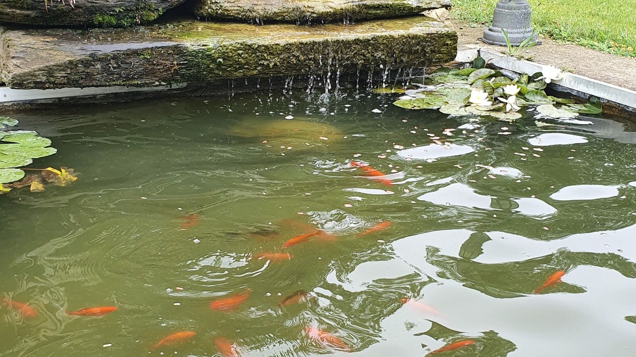 Photo of Outdoor in Orleix