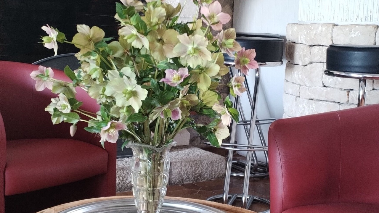 Photo of Livingroom in Souillac