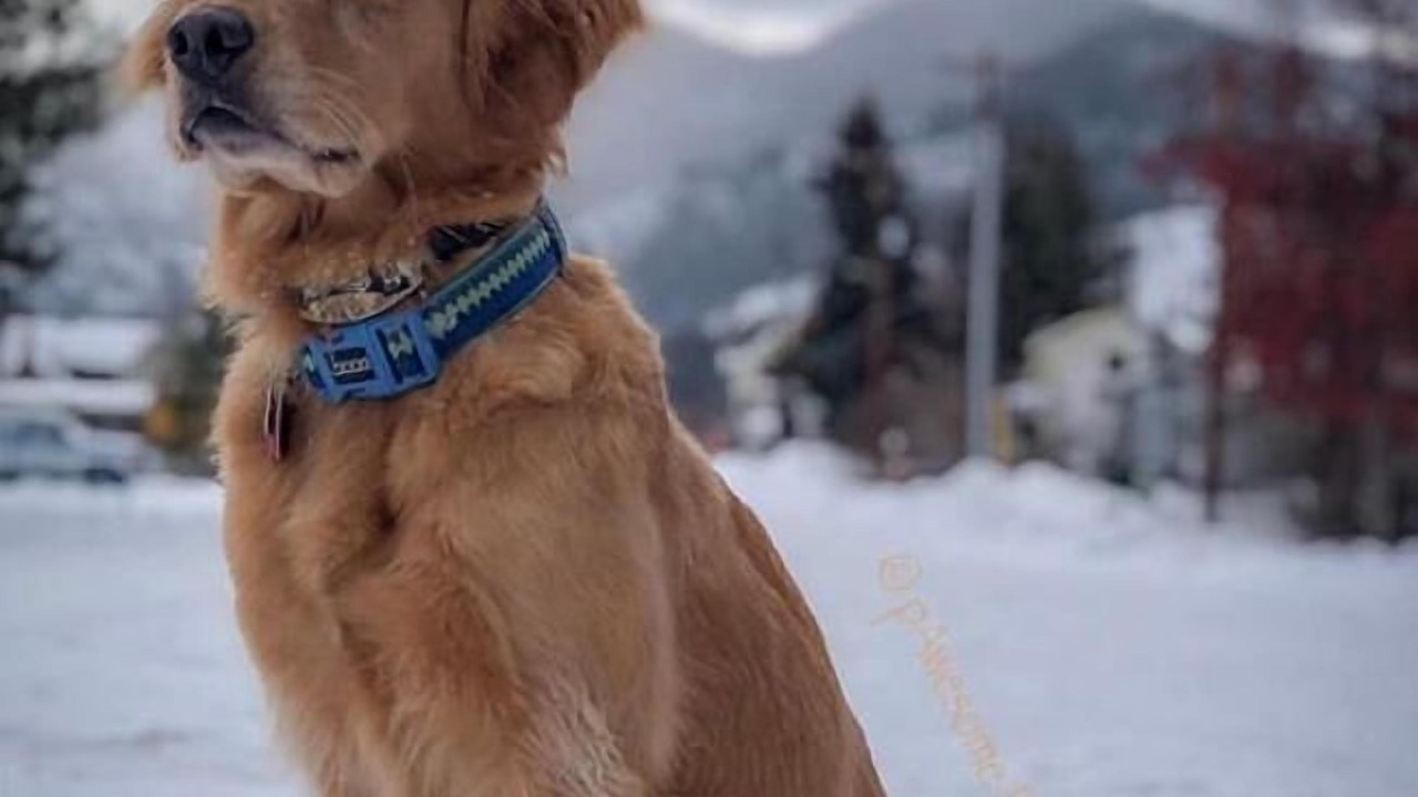 Photo of Bedroom in Twisp