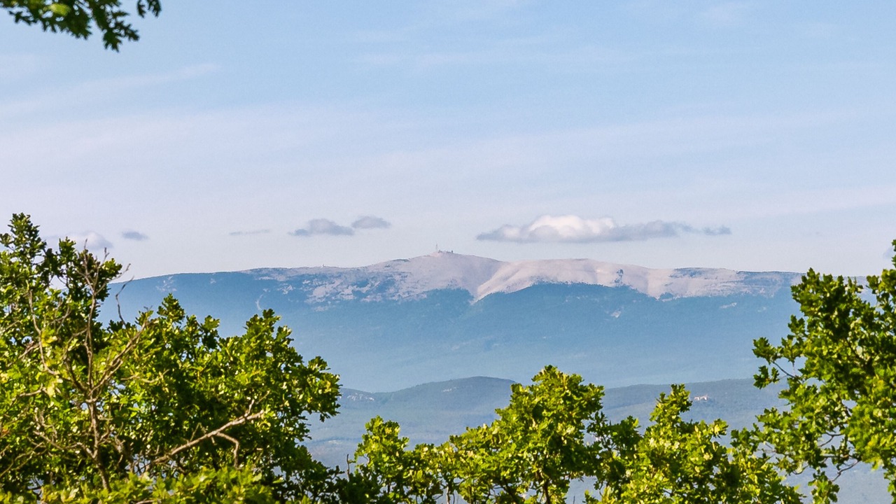 Photo of Others in Bonnieux