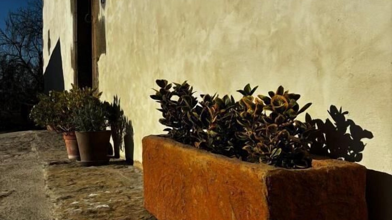 Photo of Outdoor in L'Esquirol