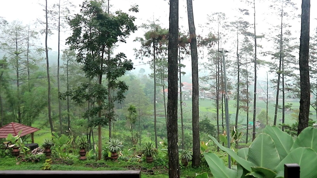 Photo of Bedroom in Pacet